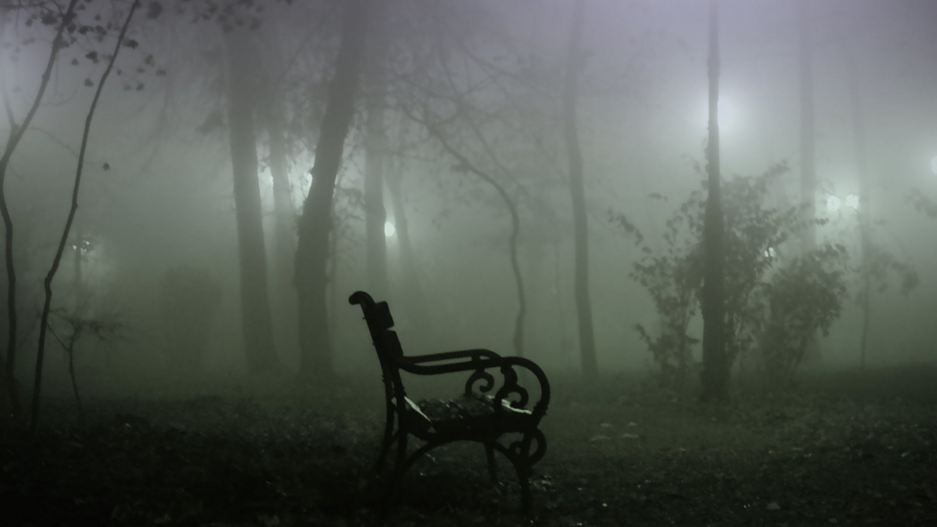 Темный лес обои