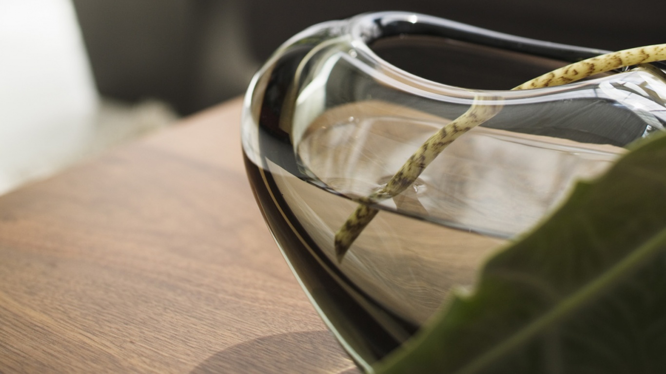 Ваза с листом обои