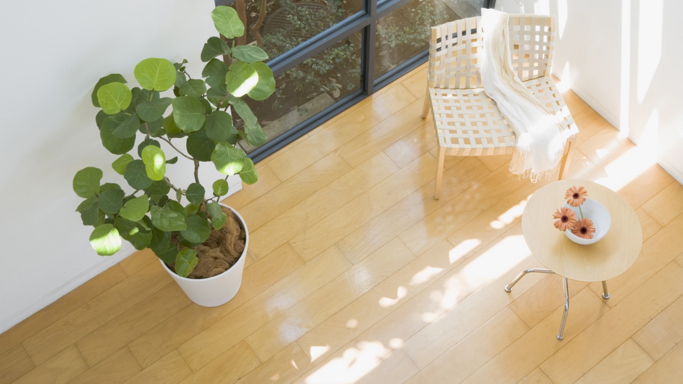 Стул, столик и цветы в комнате обои