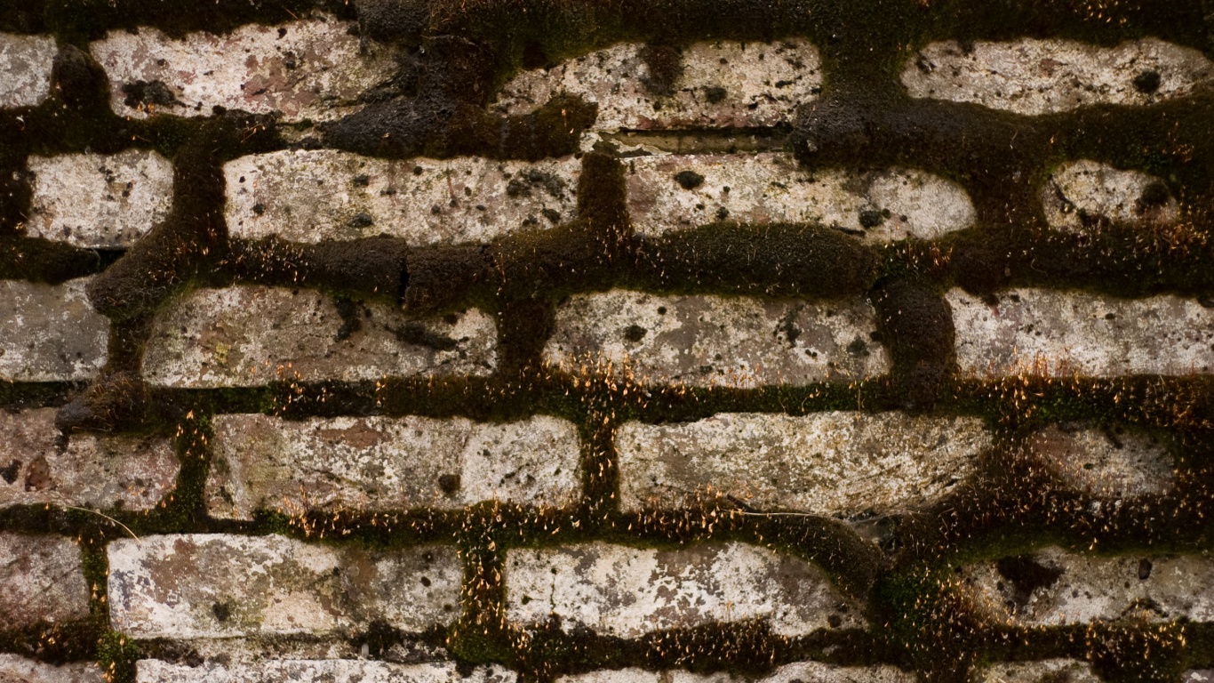 Кирпичная стена обои