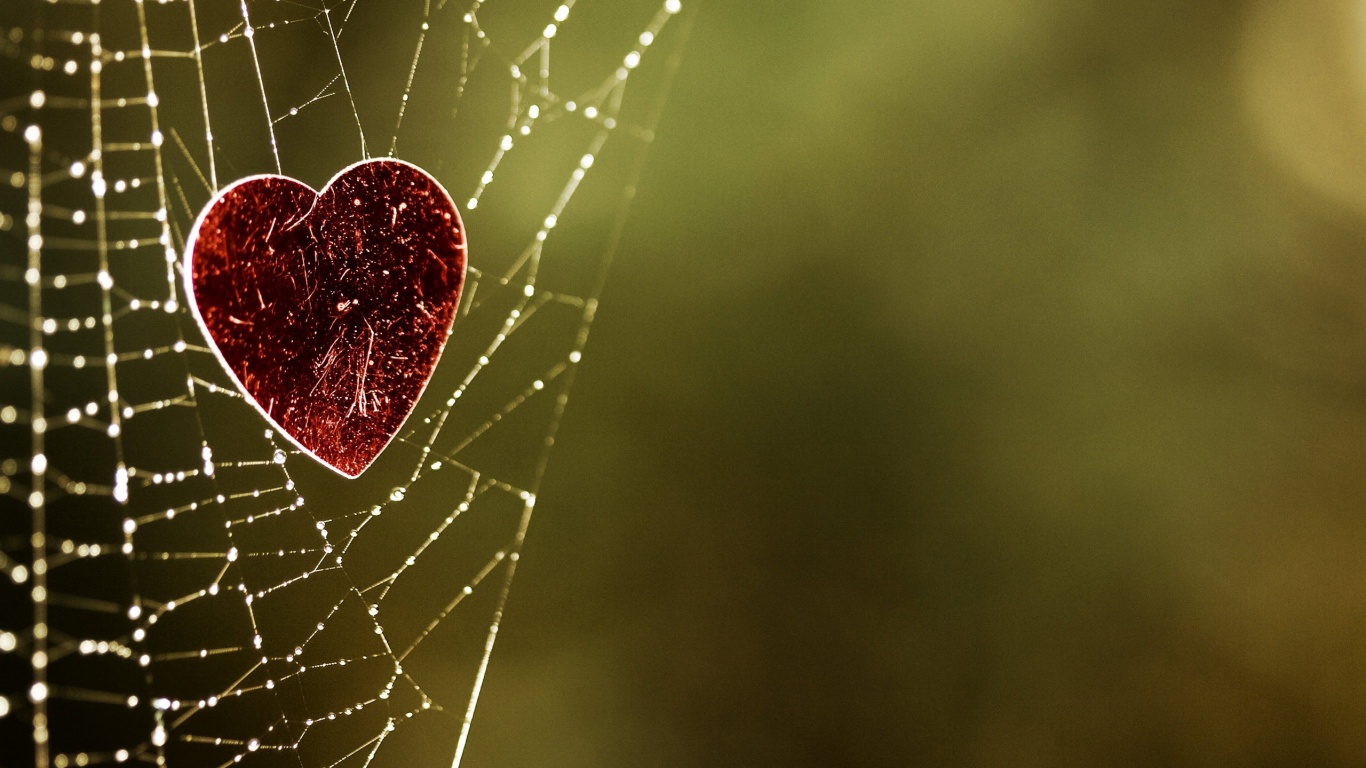 Запутавшаяся любовь.. обои