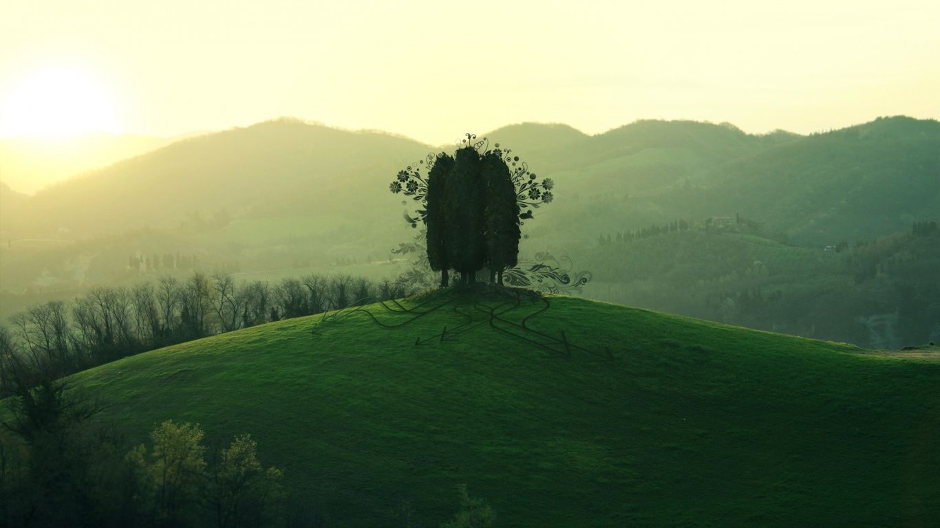 Деревья на холме обои