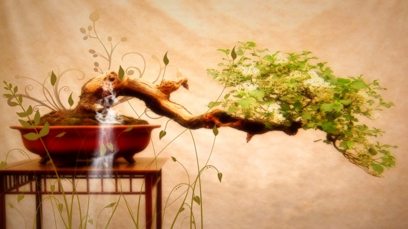 Карликовое дерево обои