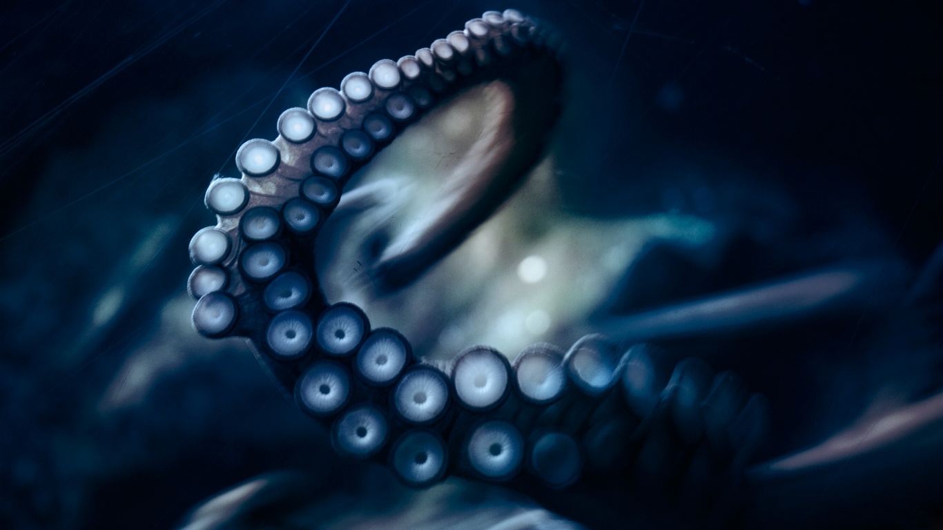 Щупальце обои