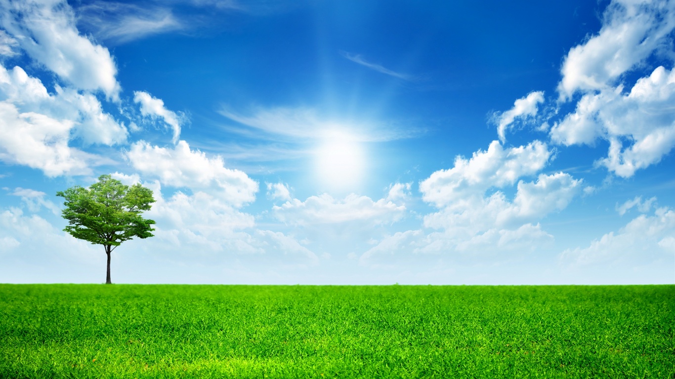 Один в целом мире обои