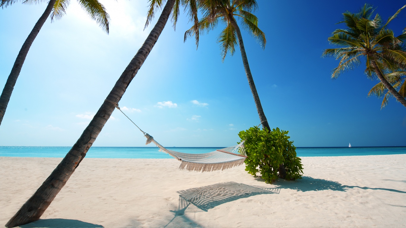 Тропический рай обои