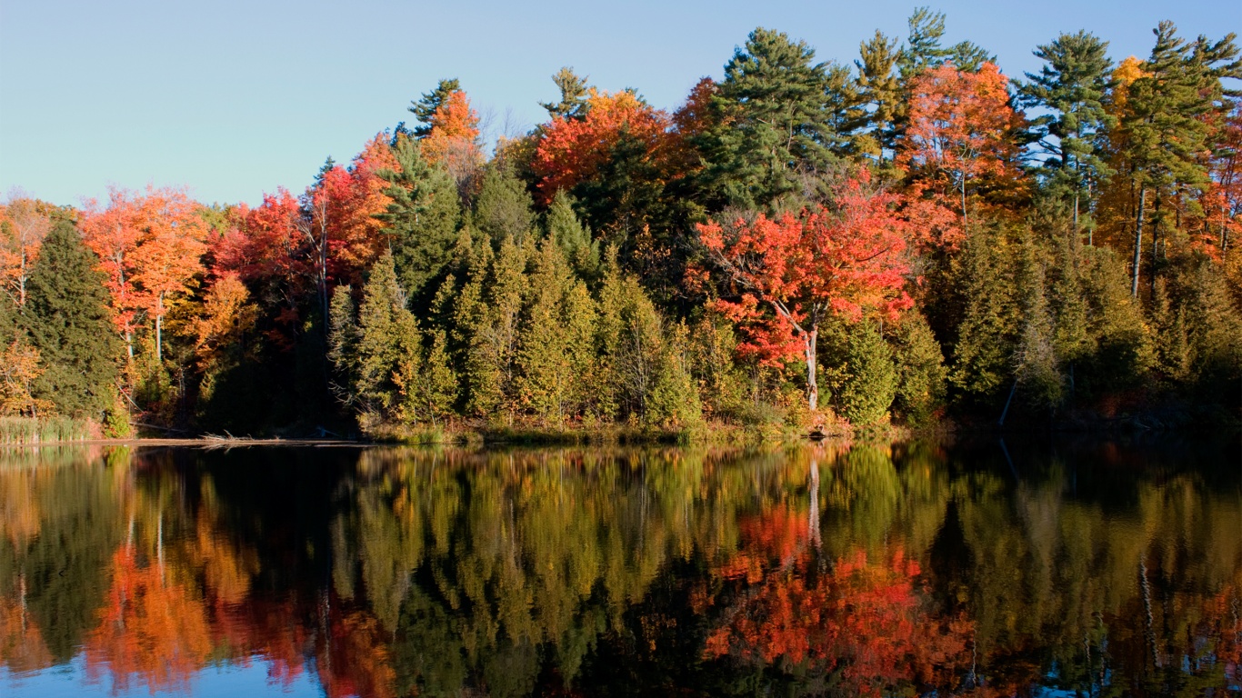 Осенний пейзаж обои