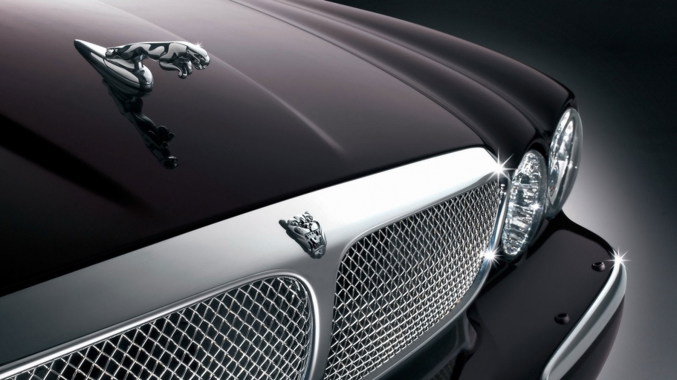 Капот и эмблема Ягуара обои