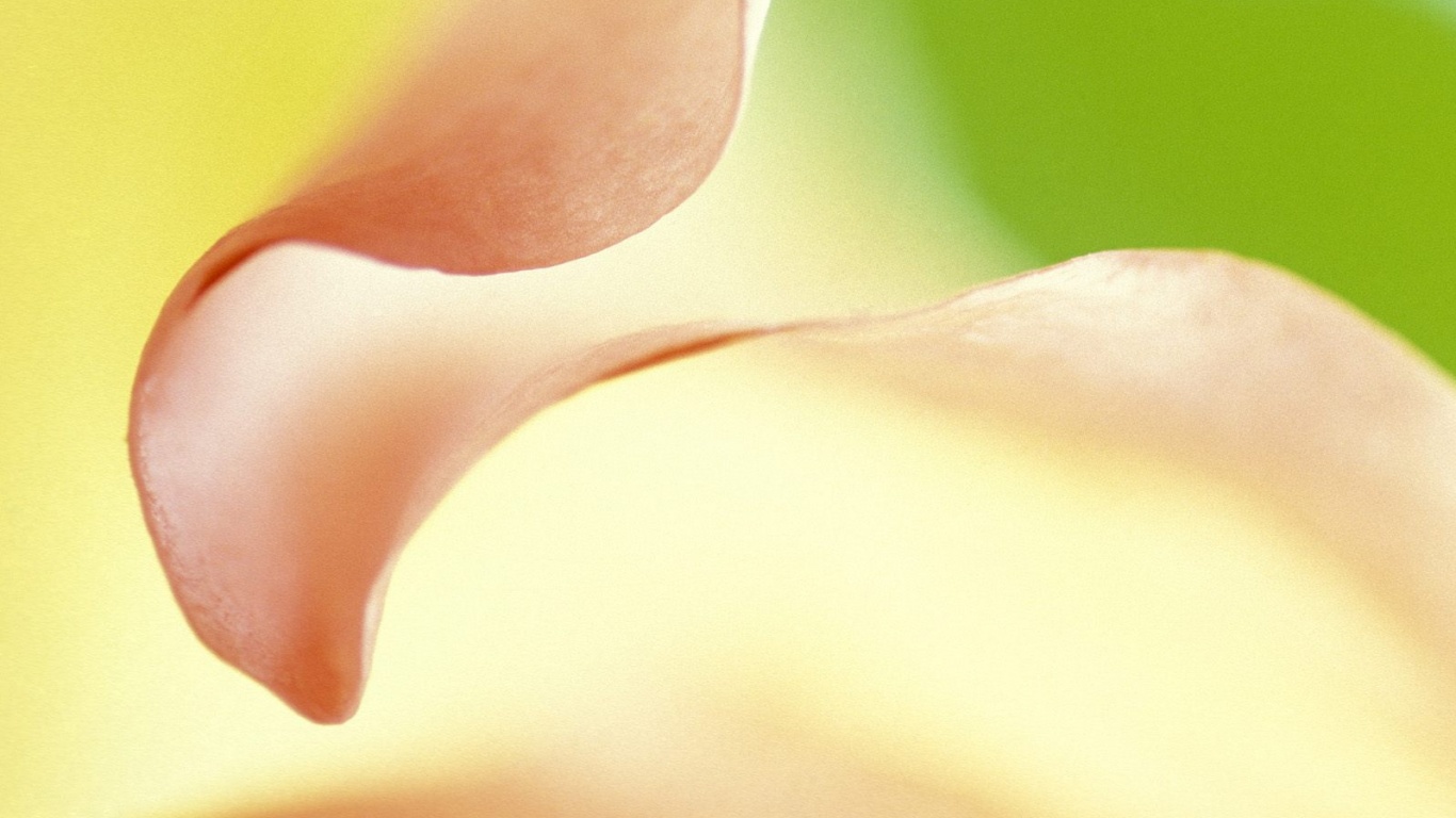 Оттенки природы обои