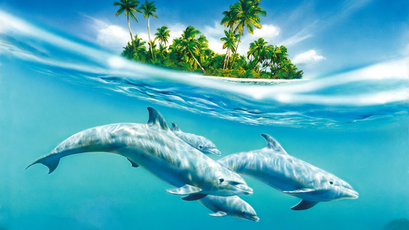 Остров дельфинов обои