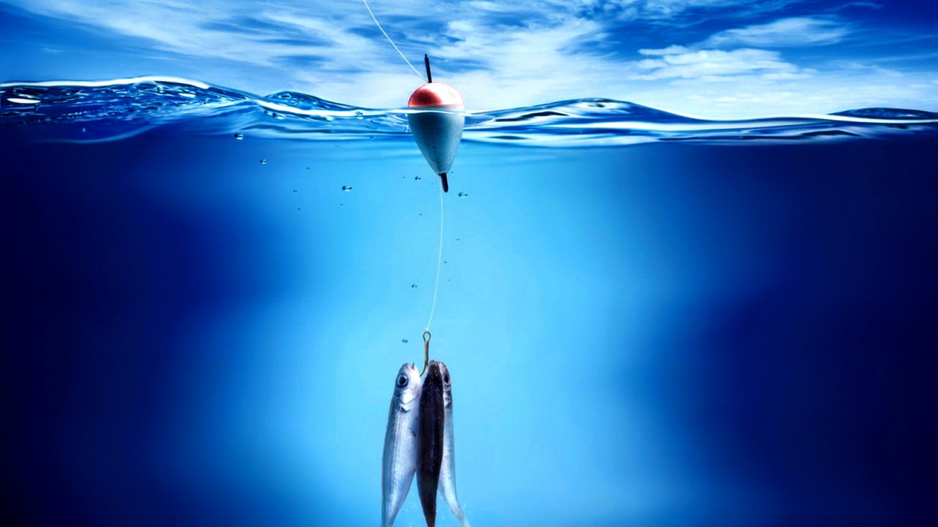 На крючке обои