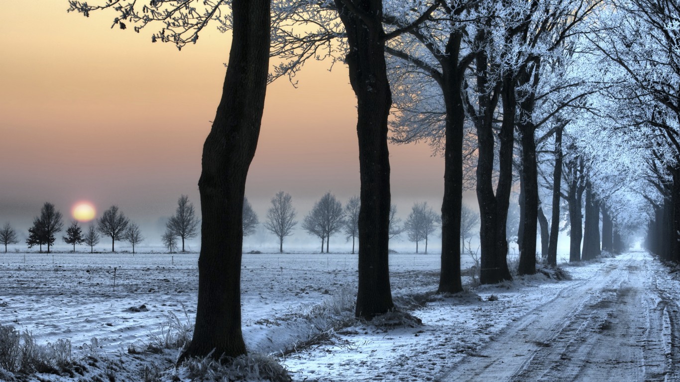 Морозное утро обои