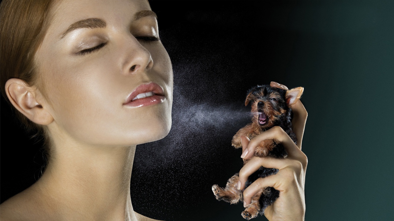 Соблюдайте гигиену обои