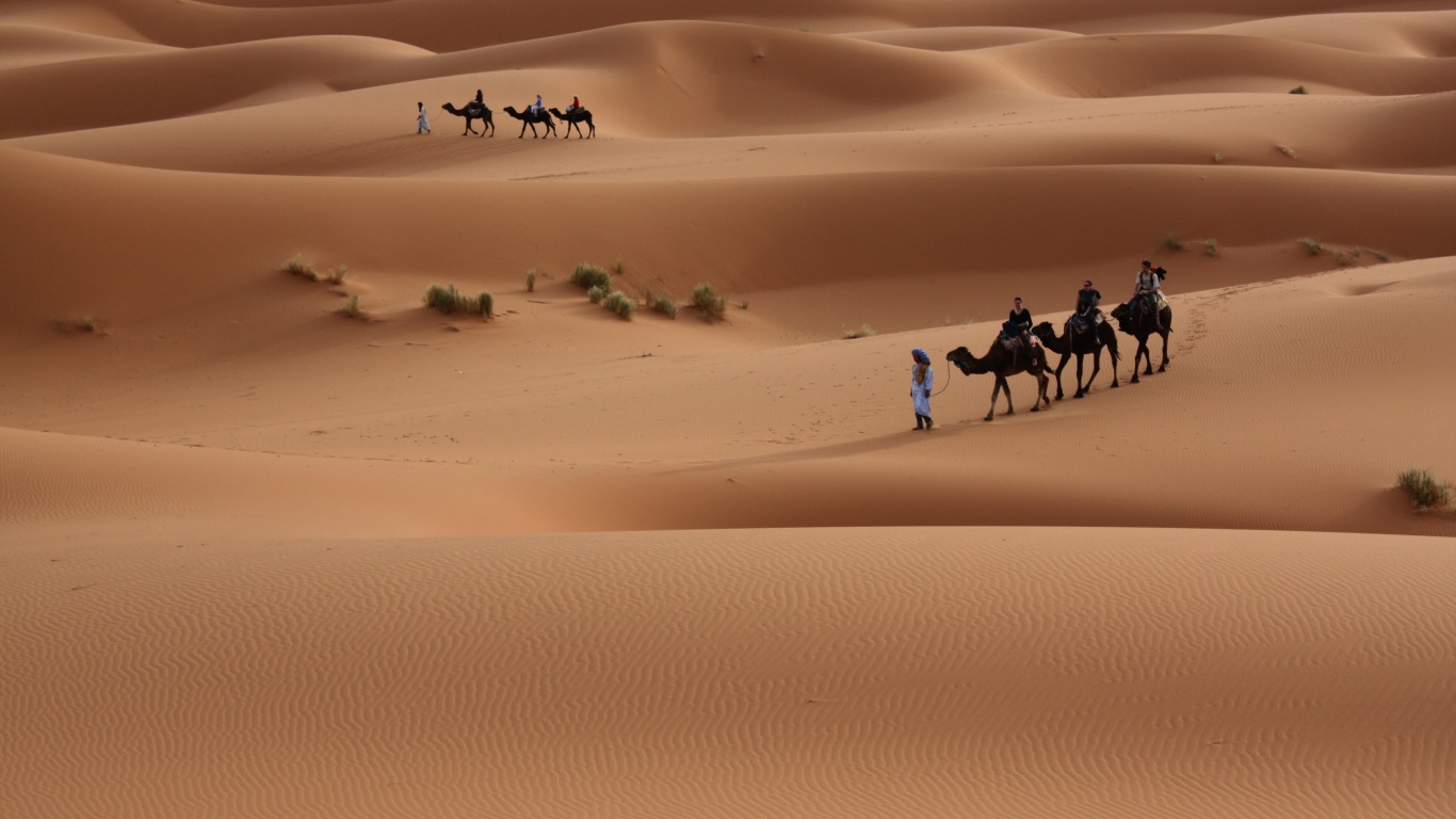 Караваны пустыни обои
