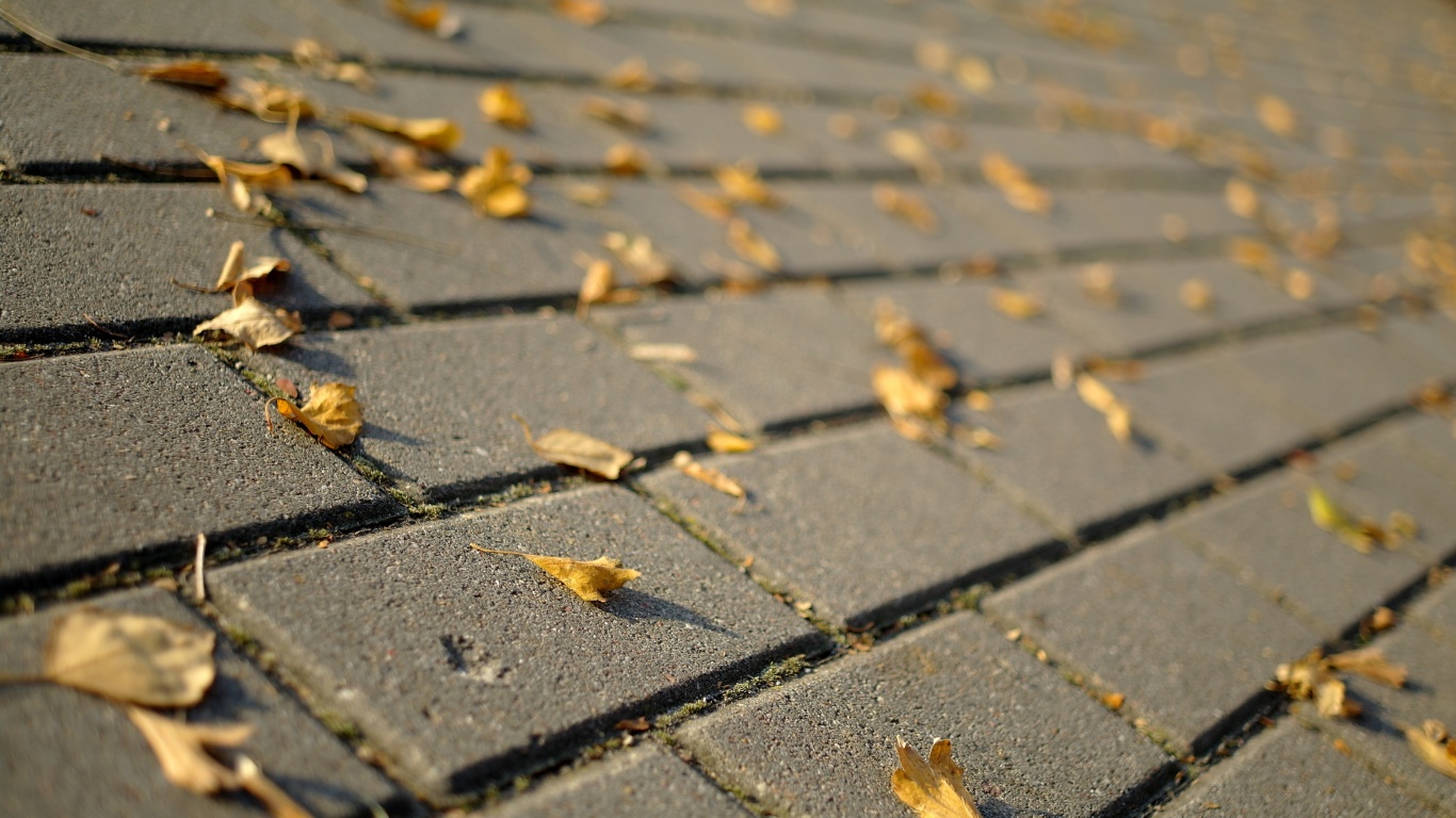 Тротуар обои