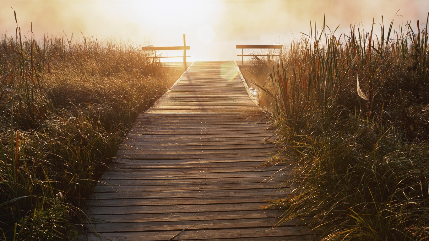 Выход к реке обои