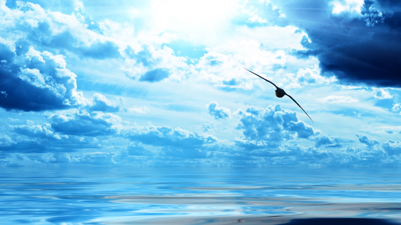 Лети как птица над волнами обои