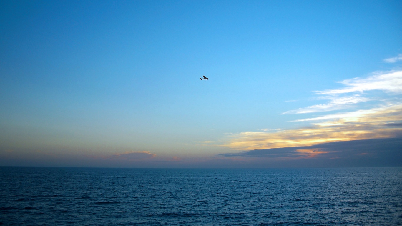 Паращий над морем обои