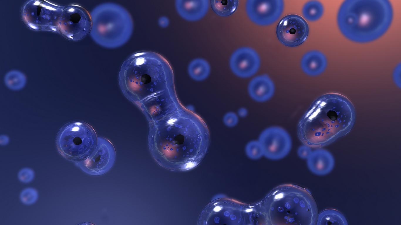 Деление обои