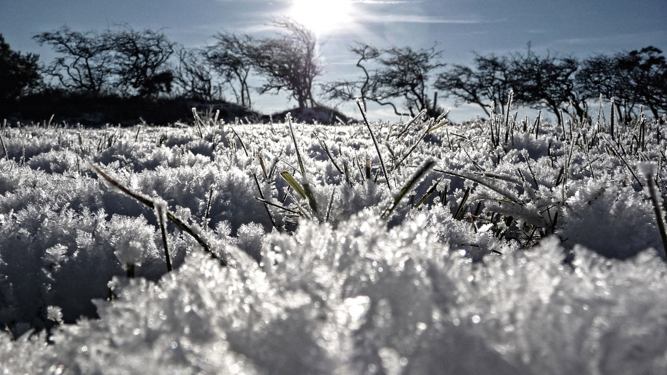 Утренний мороз обои