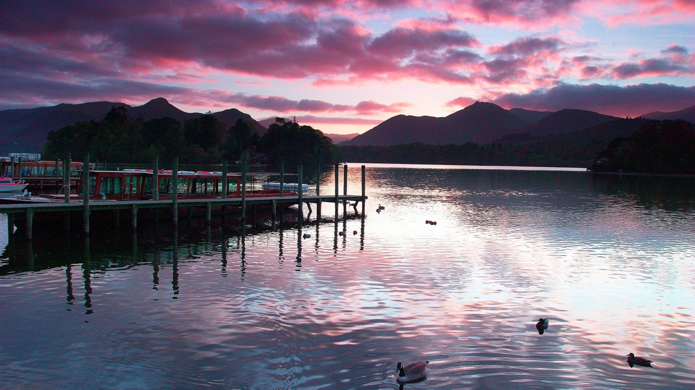 Причал на озере и утки обои