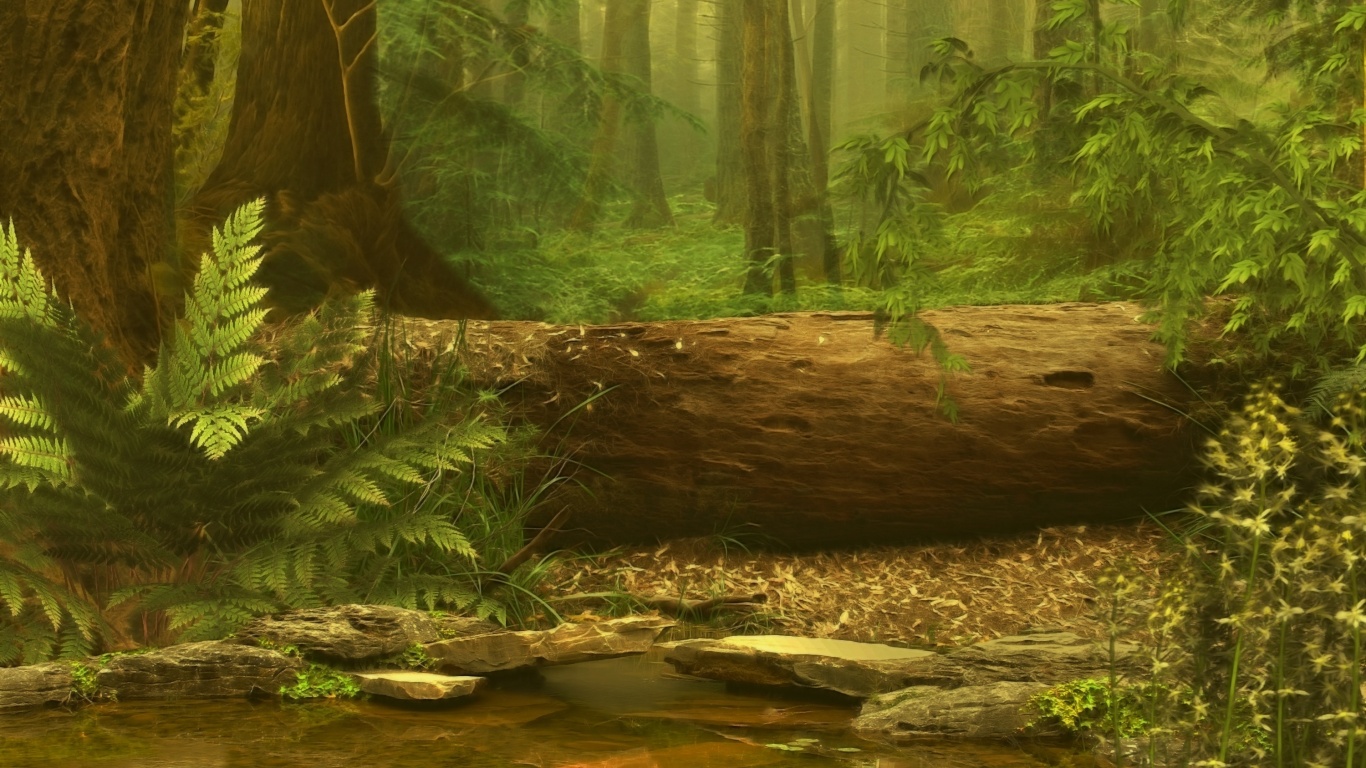 Лесной пейзаж обои