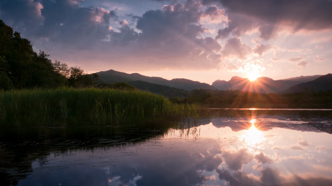 Закат за лесом обои