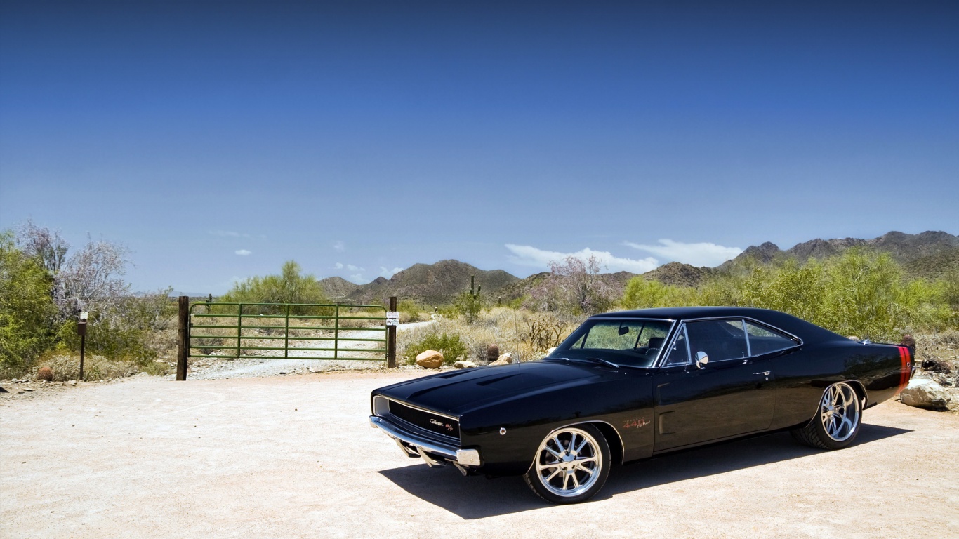 Мускулкар под палящим солнцем обои