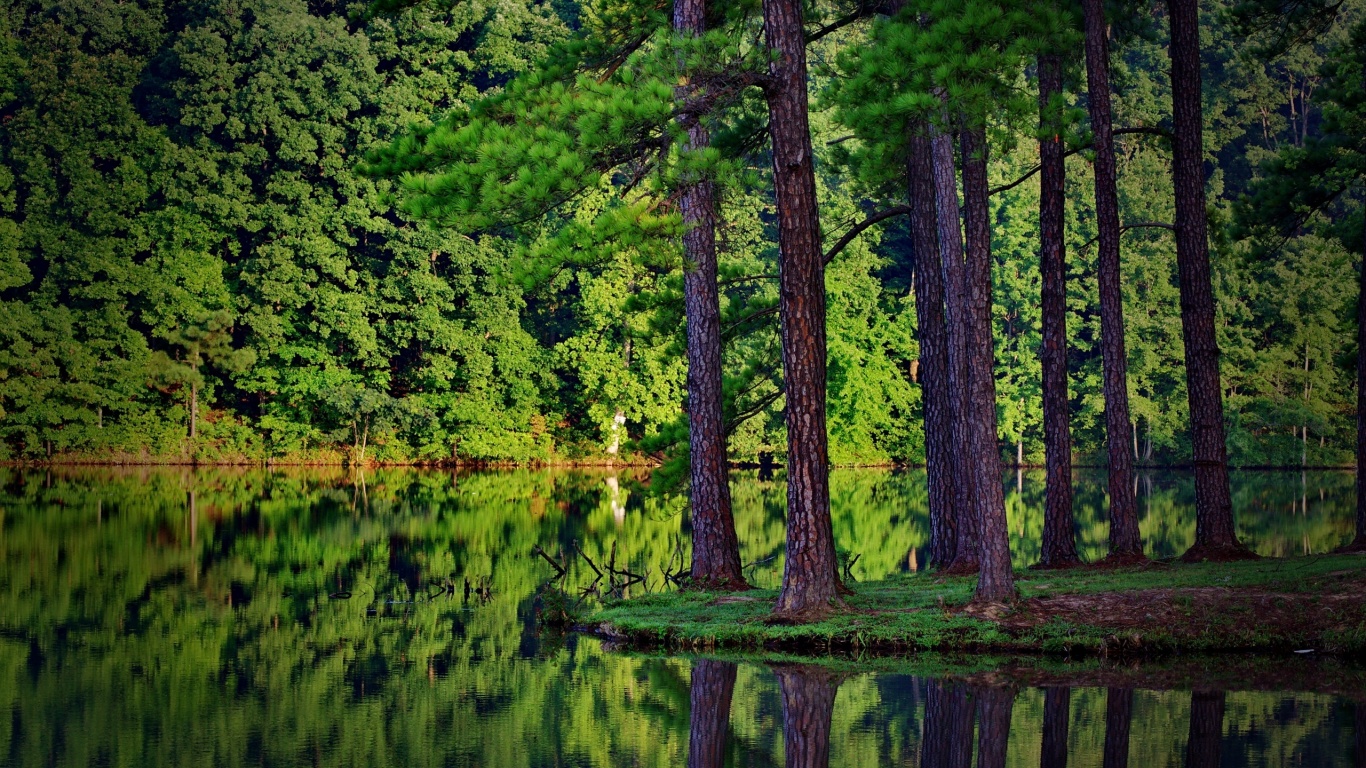 Островок посреди озера обои