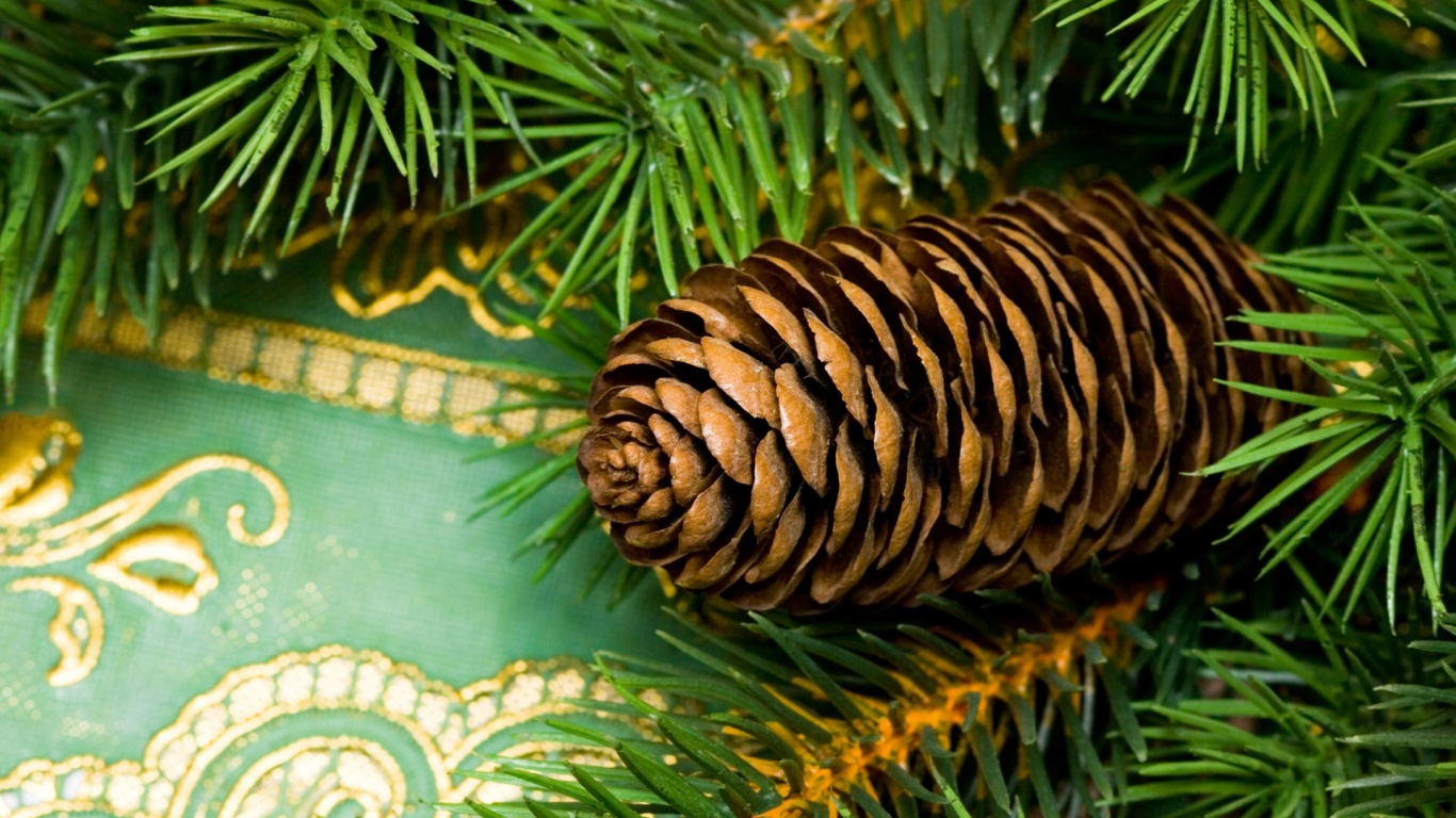 Шишка на елке обои