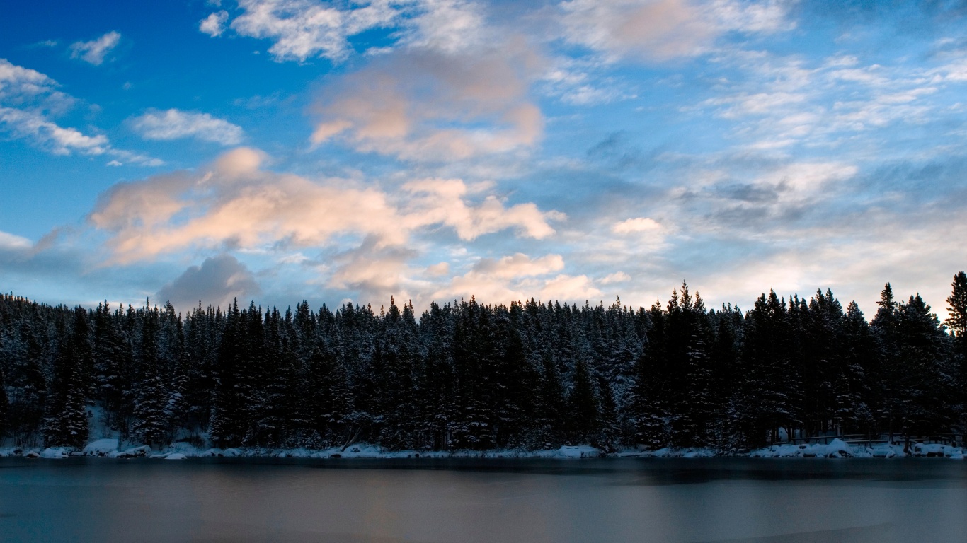 Лес на озере обои