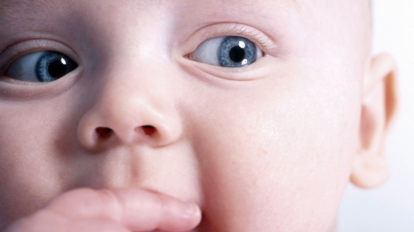 Что-то замышляет... обои