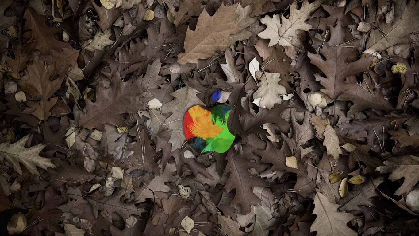 Яблоко в листьях обои