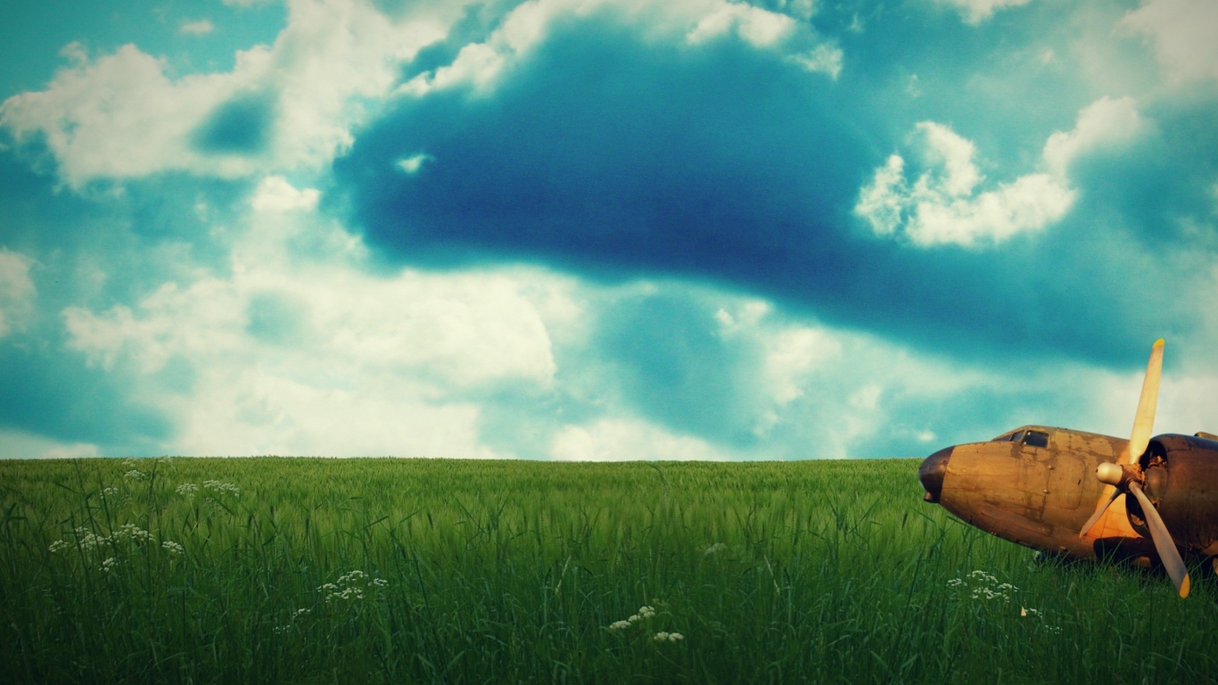 Старый ржавый самолет на лугу обои