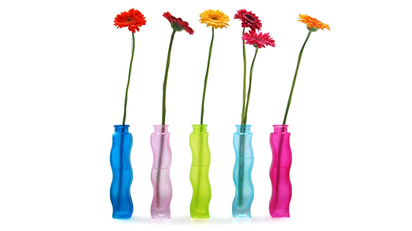 Герберы в изогнутых вазах обои