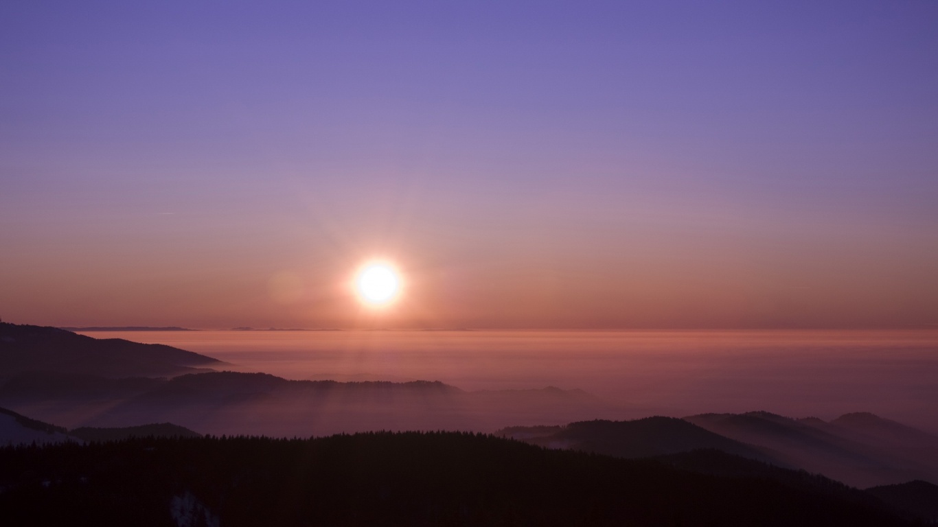 Восход солнца над лесом обои