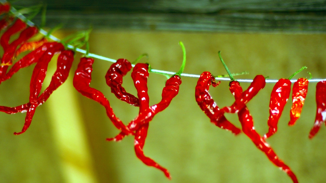 Перчики чили обои