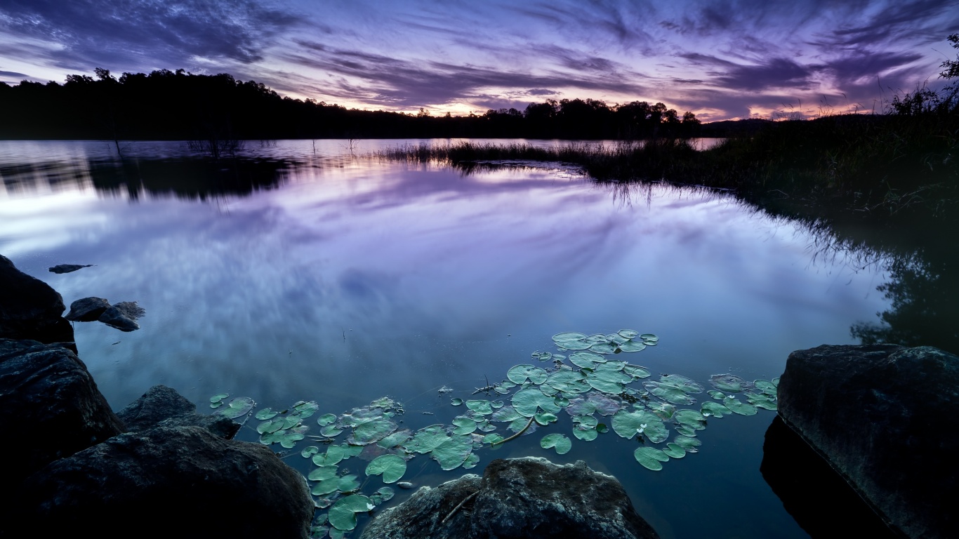 Озеро поздним вечером обои