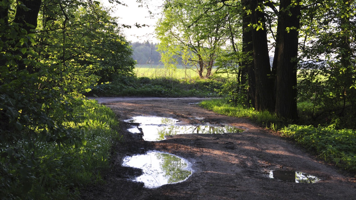 Лесная дорога обои