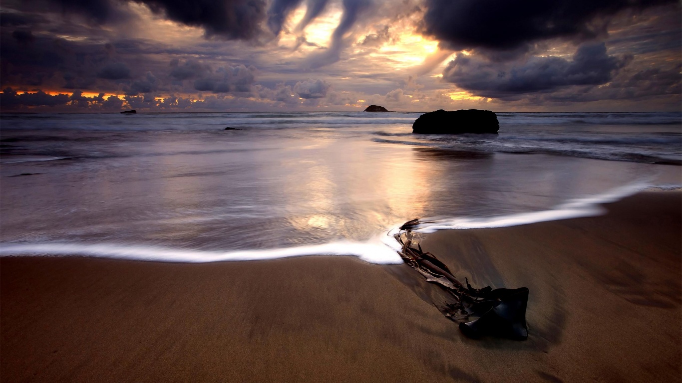 Коряга на пляже обои