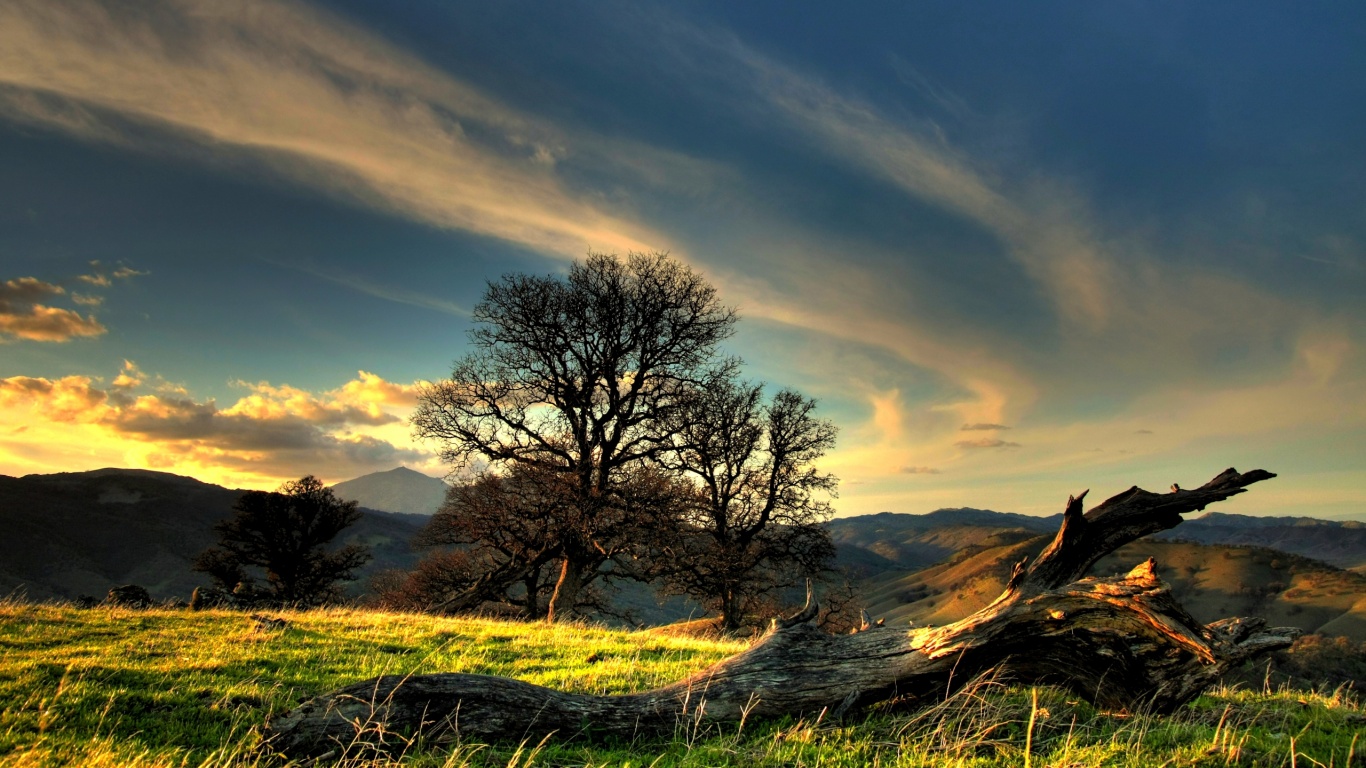 Чистая природа обои