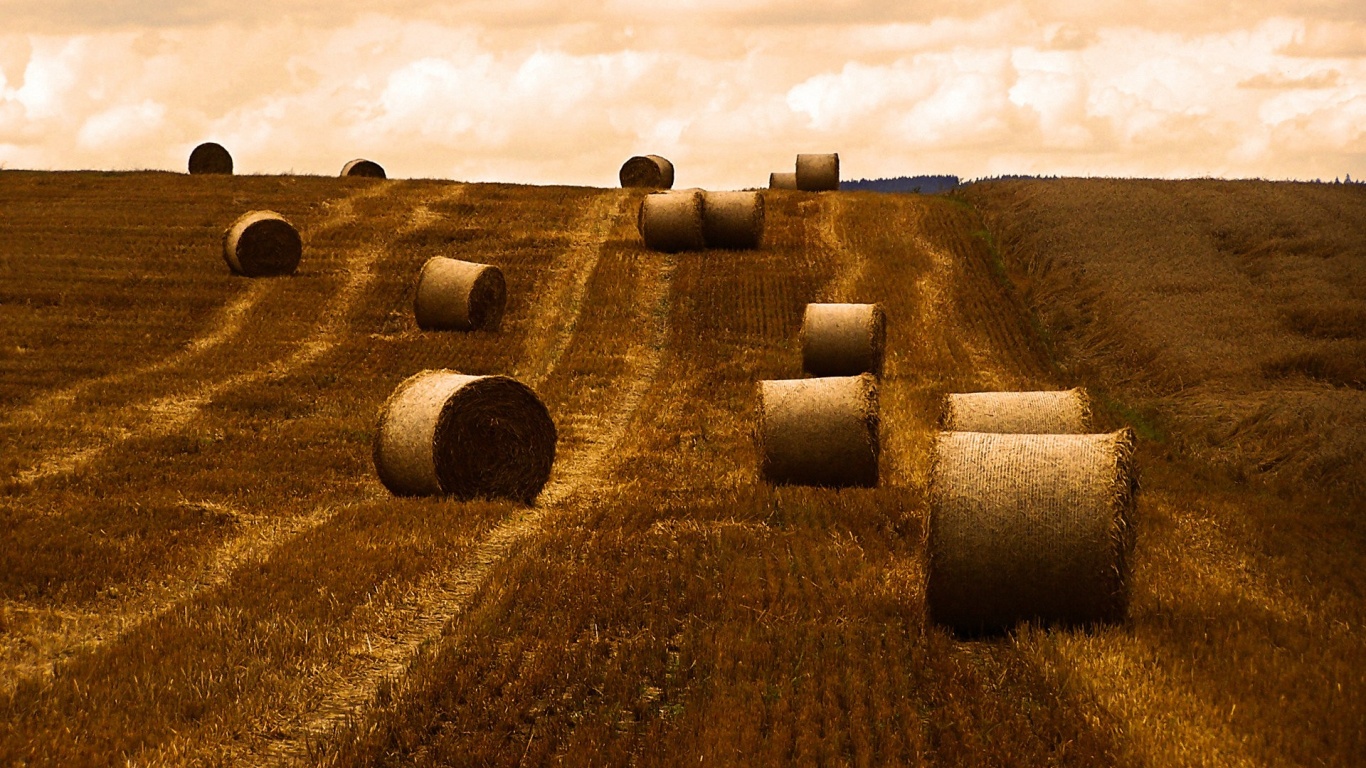 Уборка сена с поля обои