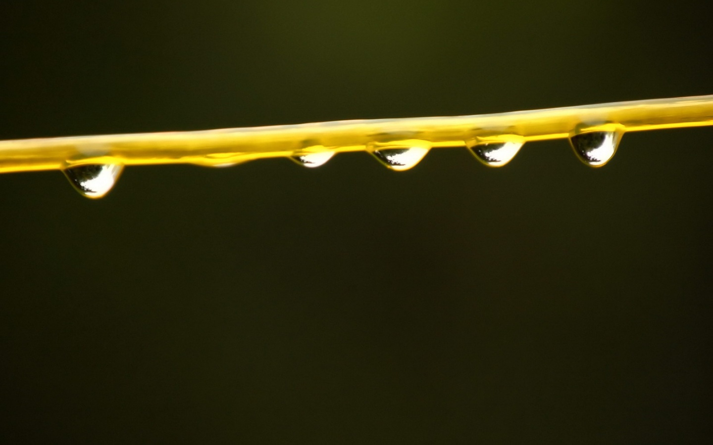 Капли на соломинке обои