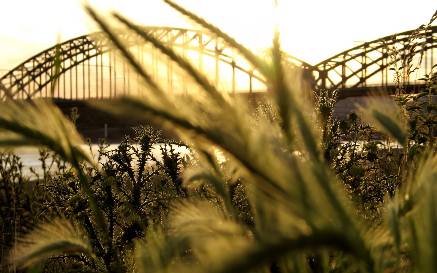 Железнодорожный мост обои