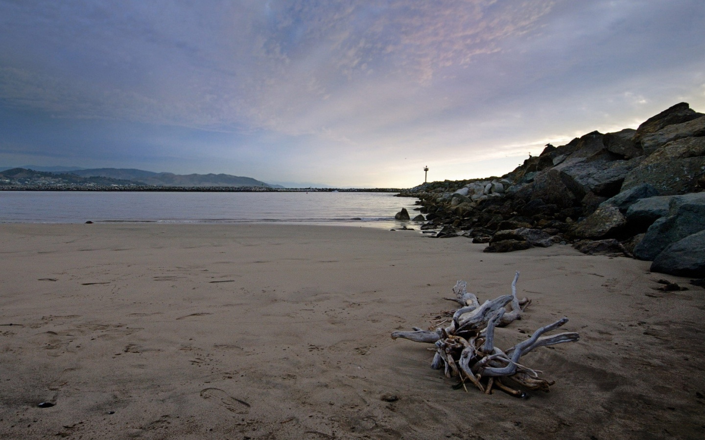 Коряга не берегу обои