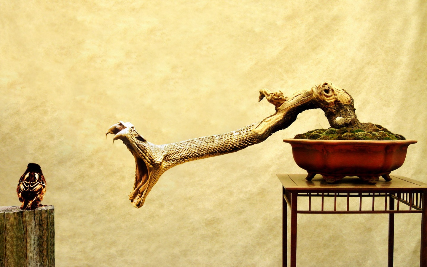 Змея-коряга напдает на птичку обои