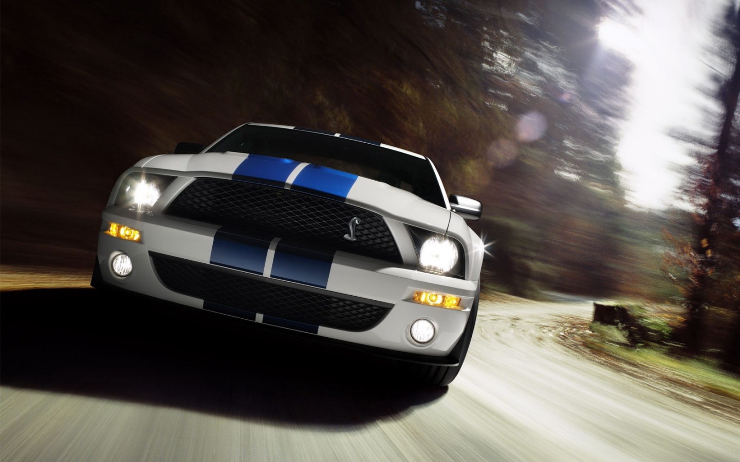 Форд Шелби с синими полосками обои