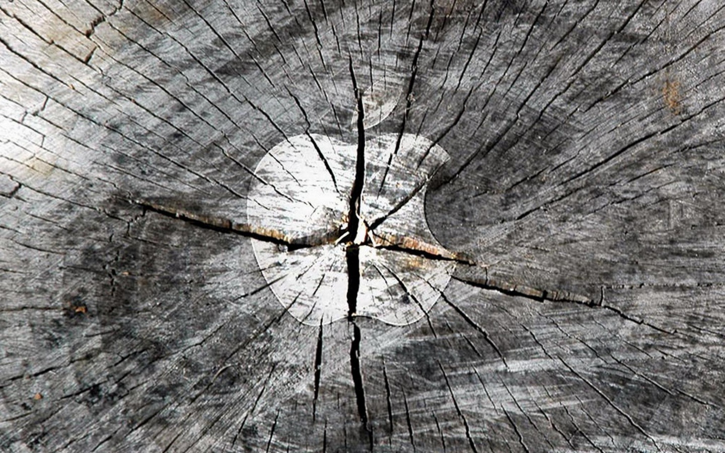 Логотип Apple на бревне обои