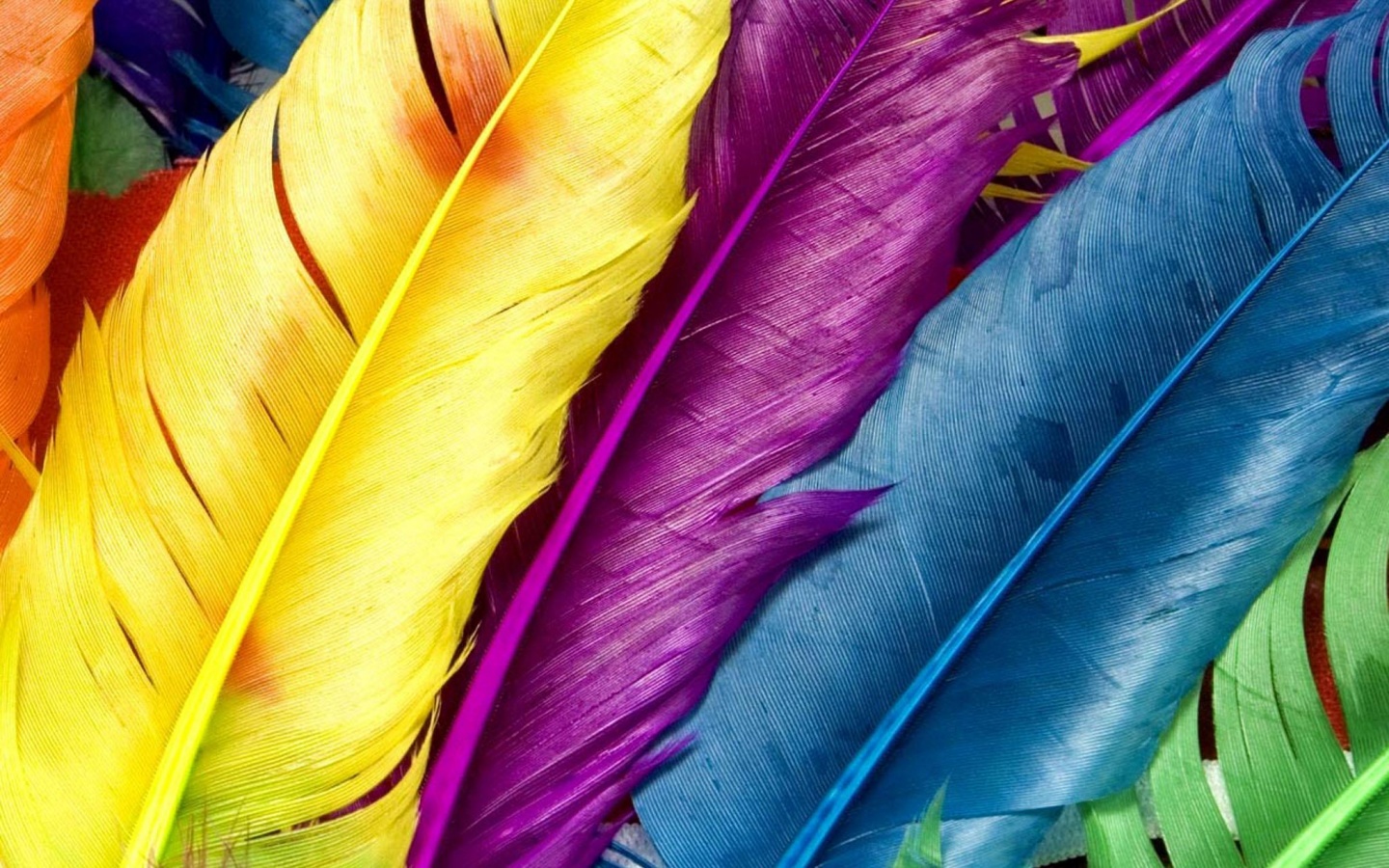 Разноцветные перья обои