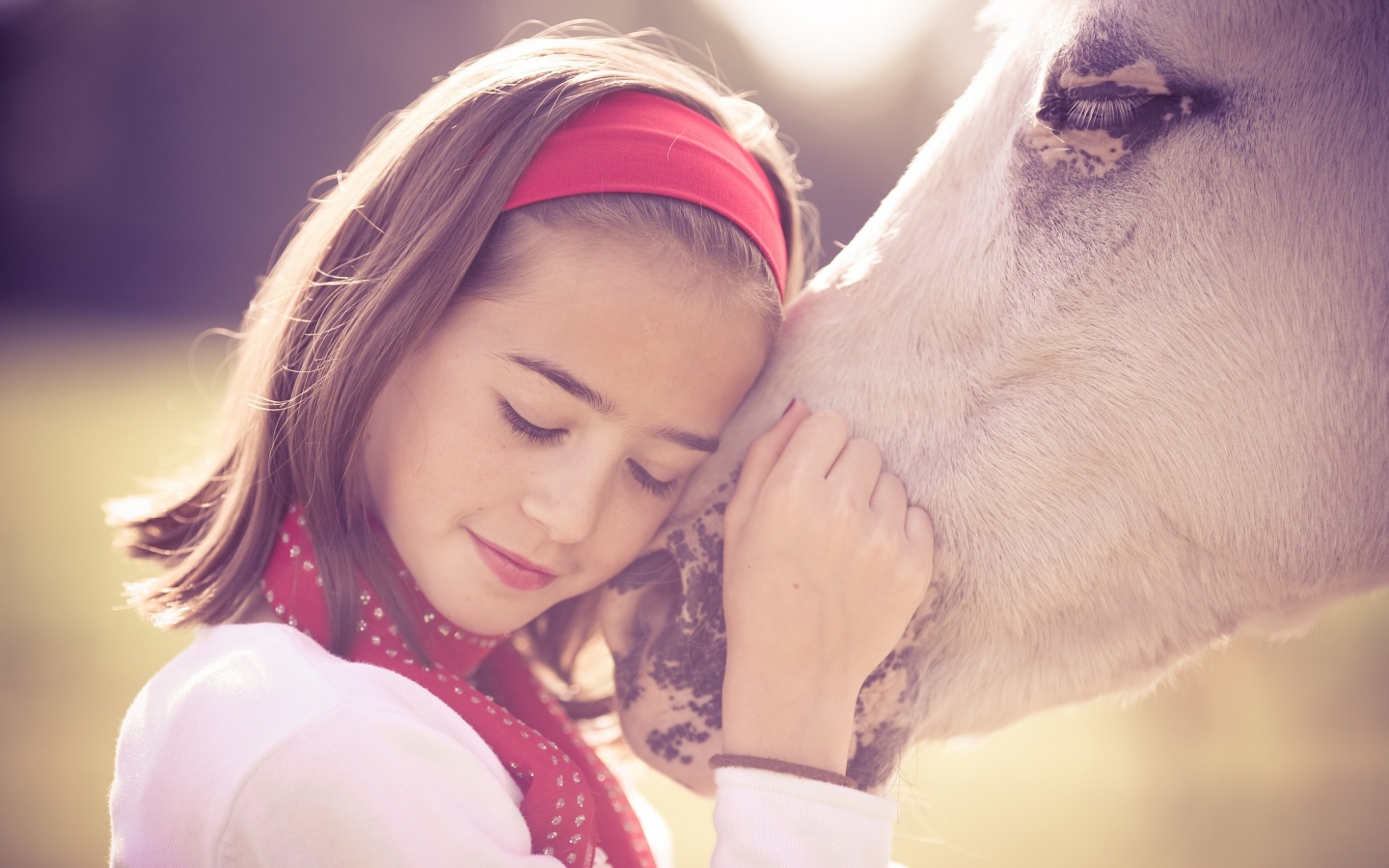 Девочка и лошадь обои